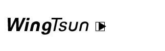 wingtsun-logo